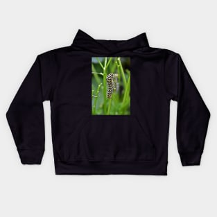 Swallowtail Caterpillar Kids Hoodie